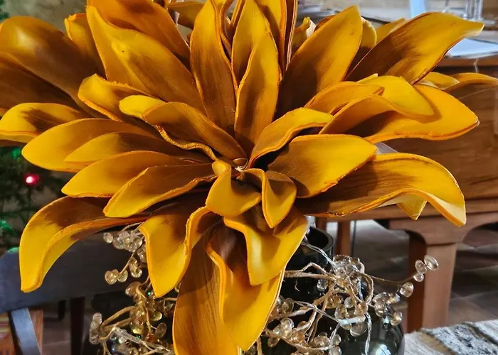 Gasthuis La Maison Colline Saint-Émilion